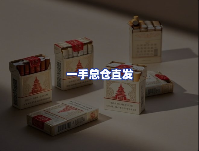 专业团队
